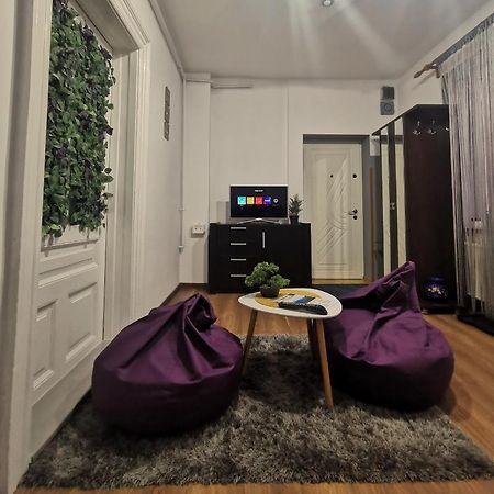 Fun House - Spacious Apartment Near Old Town Брашов Экстерьер фото