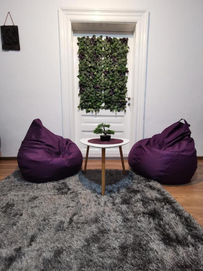 Fun House - Spacious Apartment Near Old Town Брашов Экстерьер фото